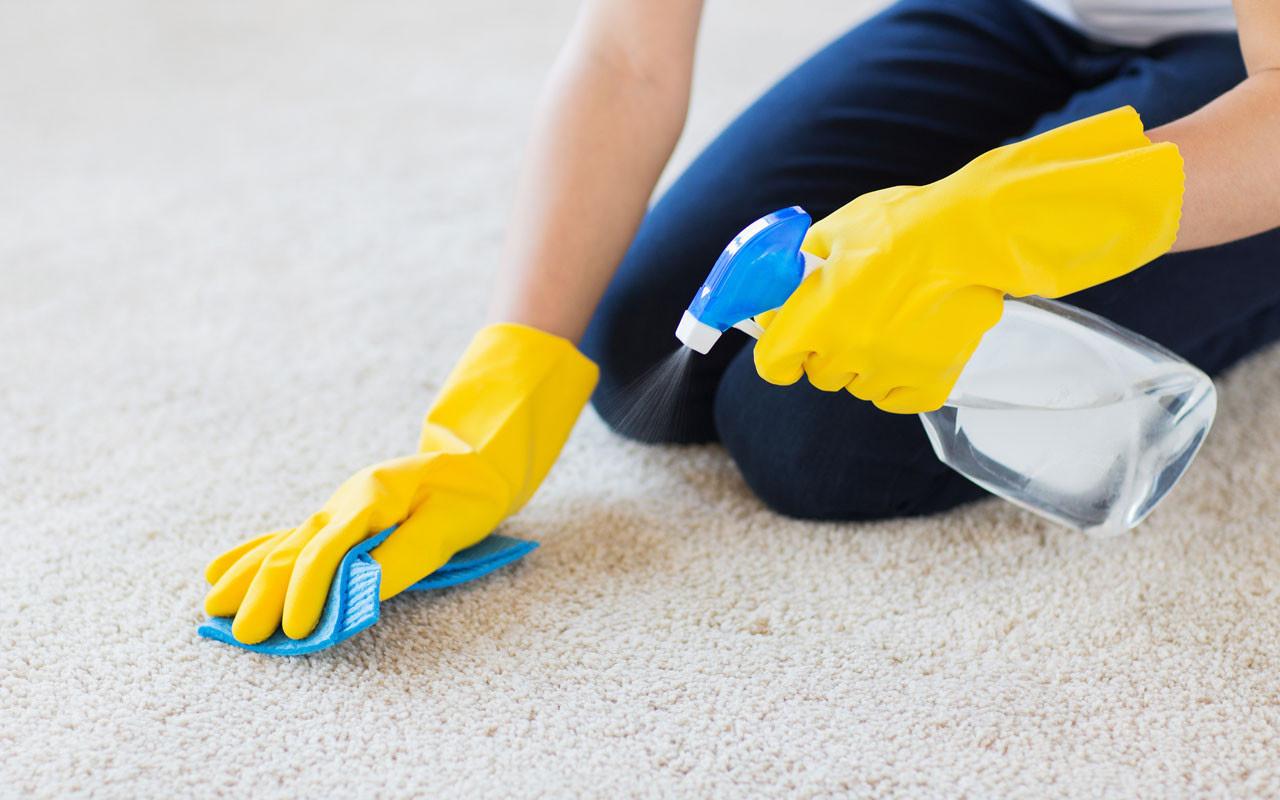 Effective Carpet Spot Cleaner in Melbourne by Carpet Stain Remover Issuu