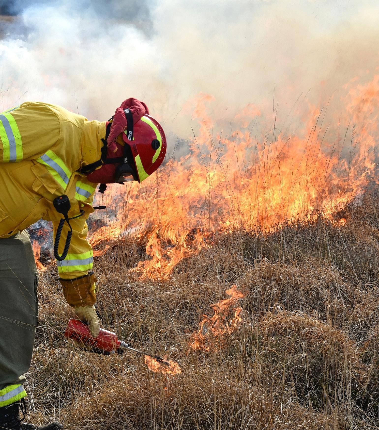 Beheerste natuurbrand op Friese heide