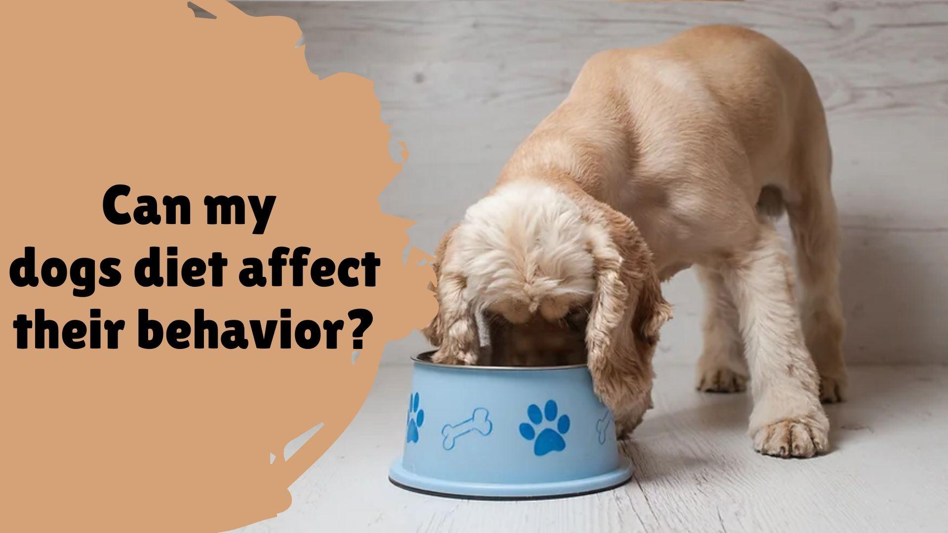 Can My Dogs Diet Affect their Behavior by Man With Van New York Issuu