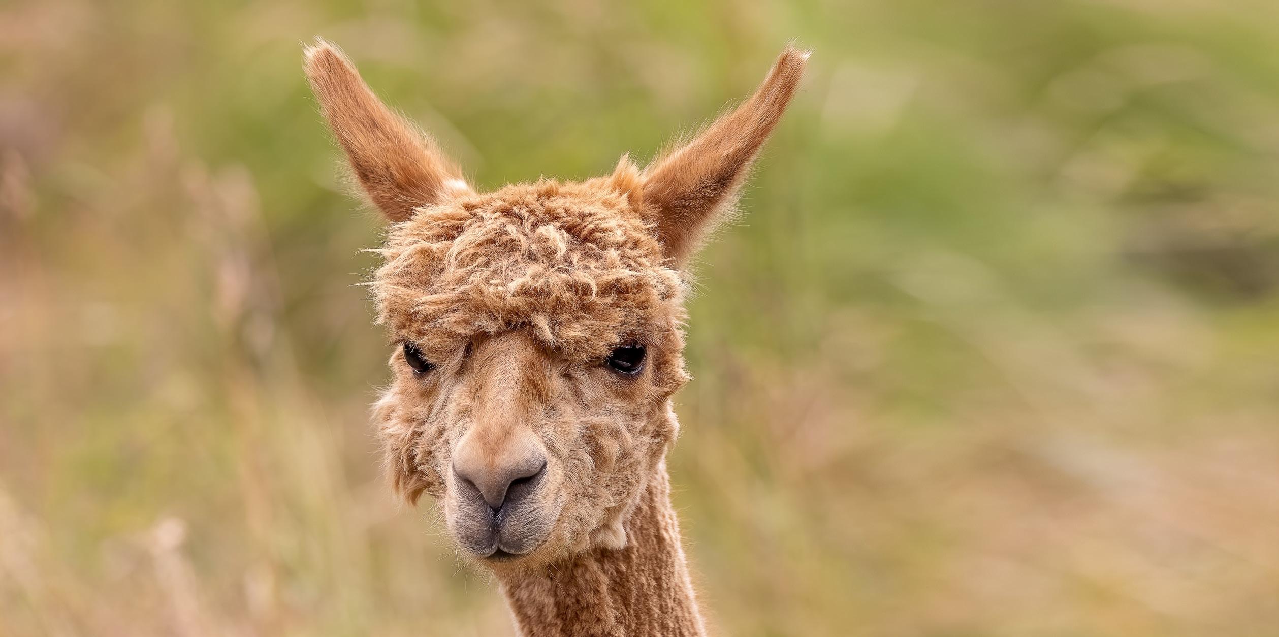 McHenry Parks & Recreation 2023 Summer Program Brochure by