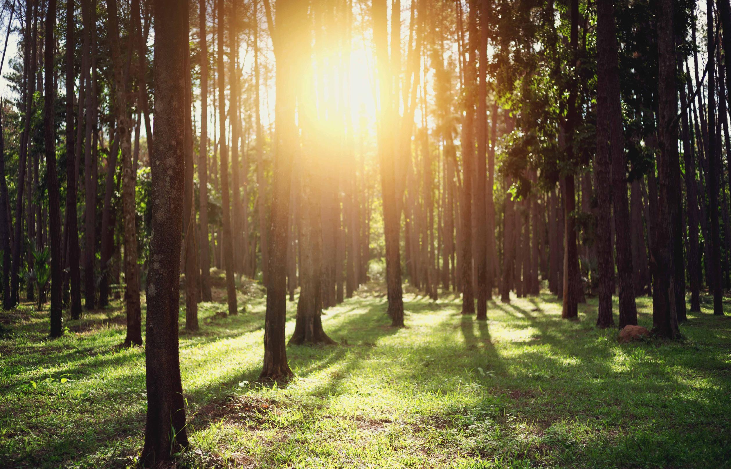 McHenry Parks & Recreation 2023 Summer Program Brochure by