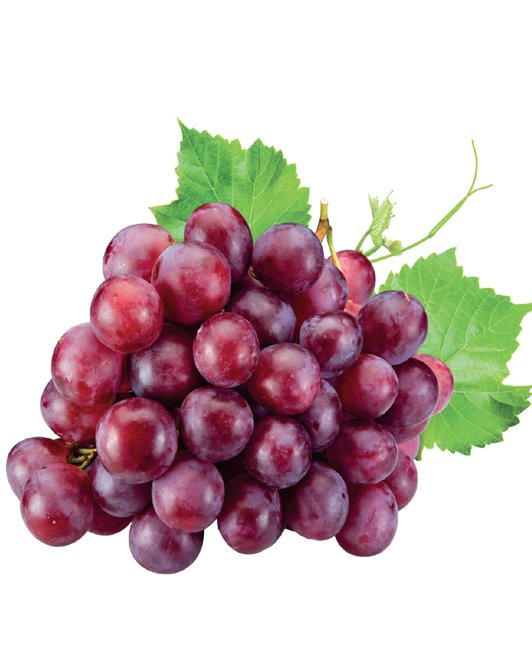 Collins Dictionaries Catalogue 2023 by Collins Issuu