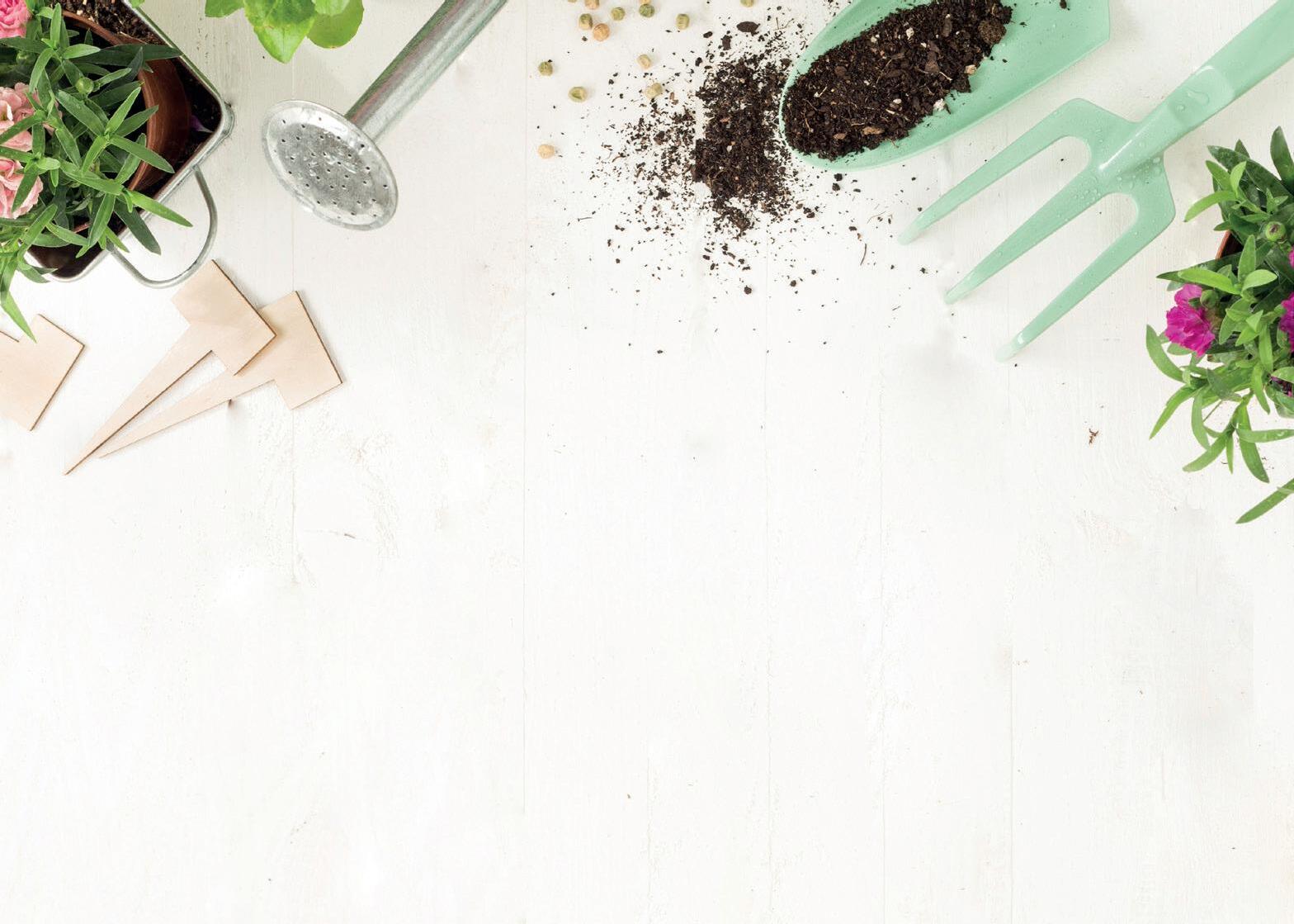 Halstead April 2023 by Bits and Bobs Publishing Ltd Issuu