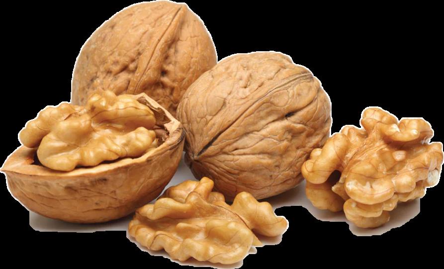 HEALTH BENEFITS OF NUTS AND OILSEEDS Issuu
