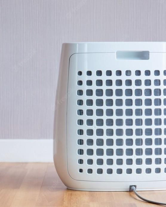 6 types of Diseases That Your Plasma Air Purifier Can Prevent by Intelligreen Technologies Issuu