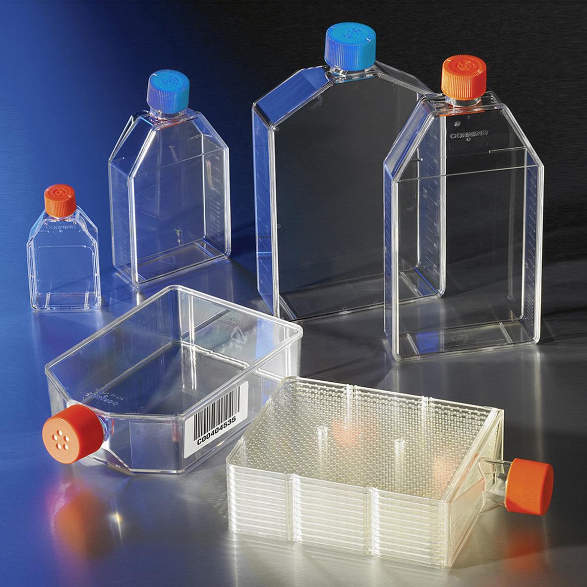Global Cell Culture Consumables And Equipment Market Outlook Through