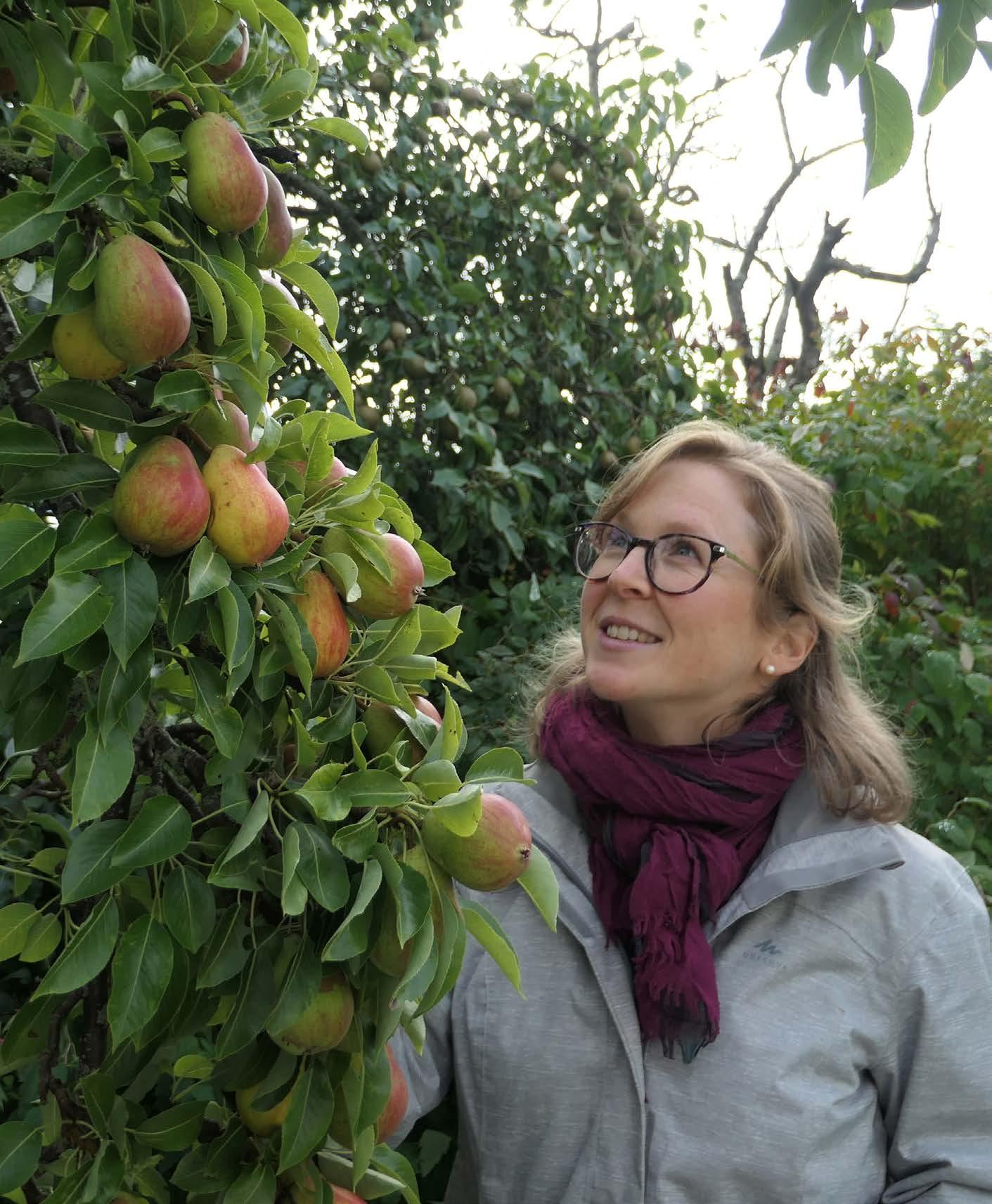 Waymo: \, image size:1411x1713