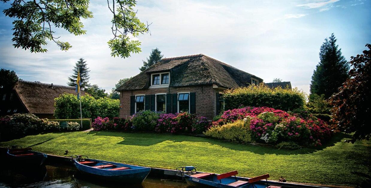 Cover for Spring Has Sprung, Things To Do In Your Garden