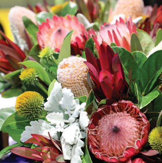 International Women’s Day