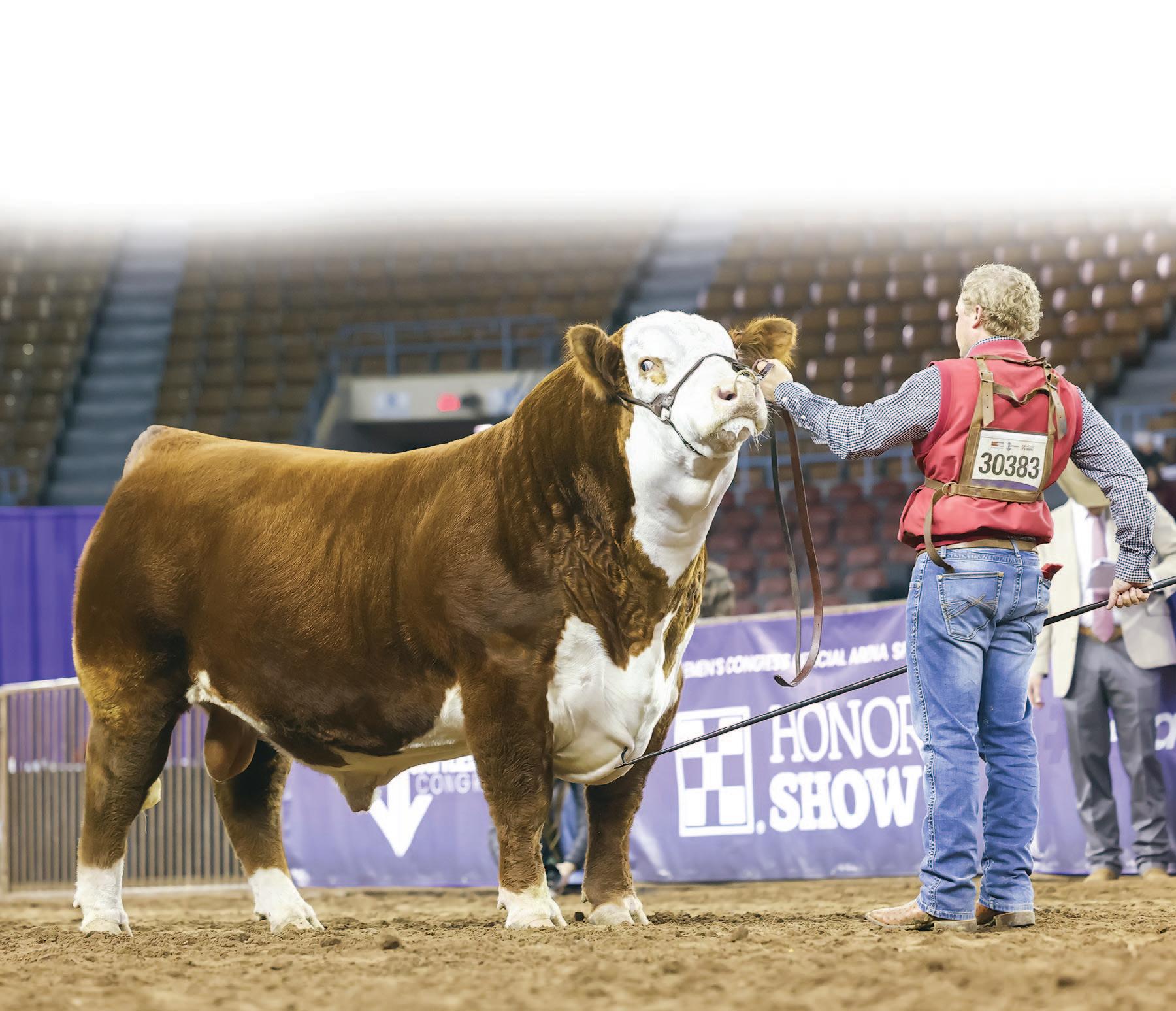 DRY CREEK FARMS 2023 FALL BORN HEIFER SALE by Drycreekfarm01 Issuu