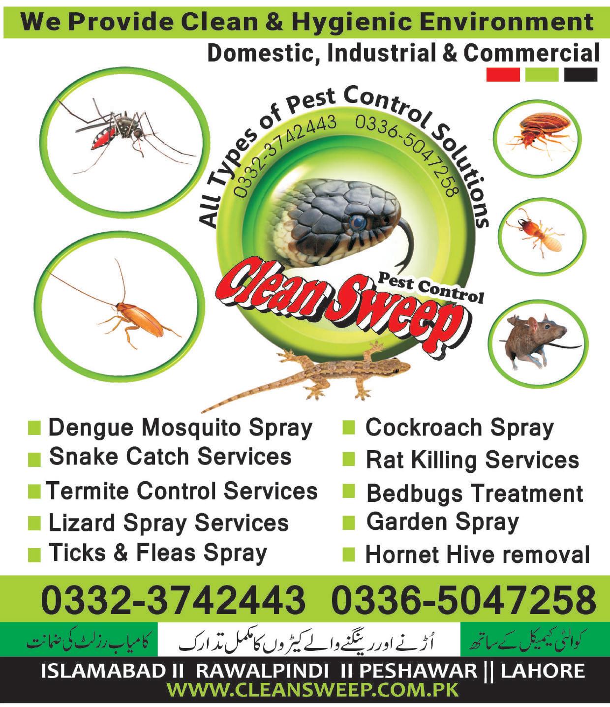 Termite Control Rawalpindi by Clean Sweep pest control Islamabad Issuu