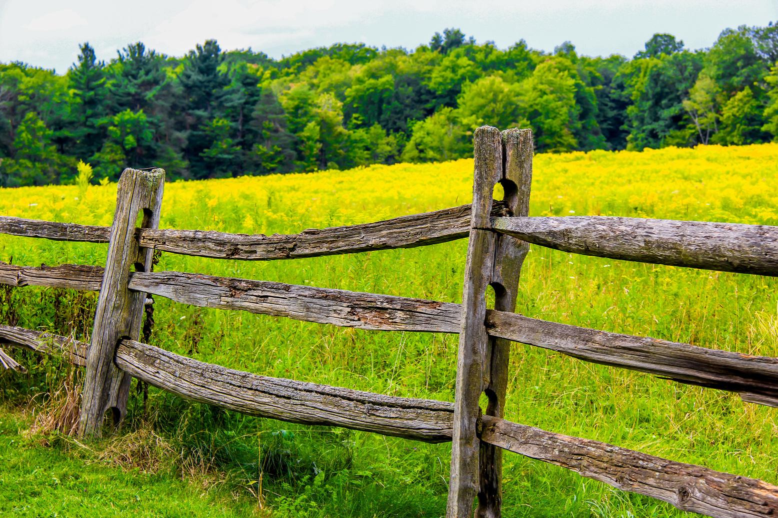 Agricultural Fencing Supplies UK by Shire Agricultural and Fencing Supplies LTD Issuu