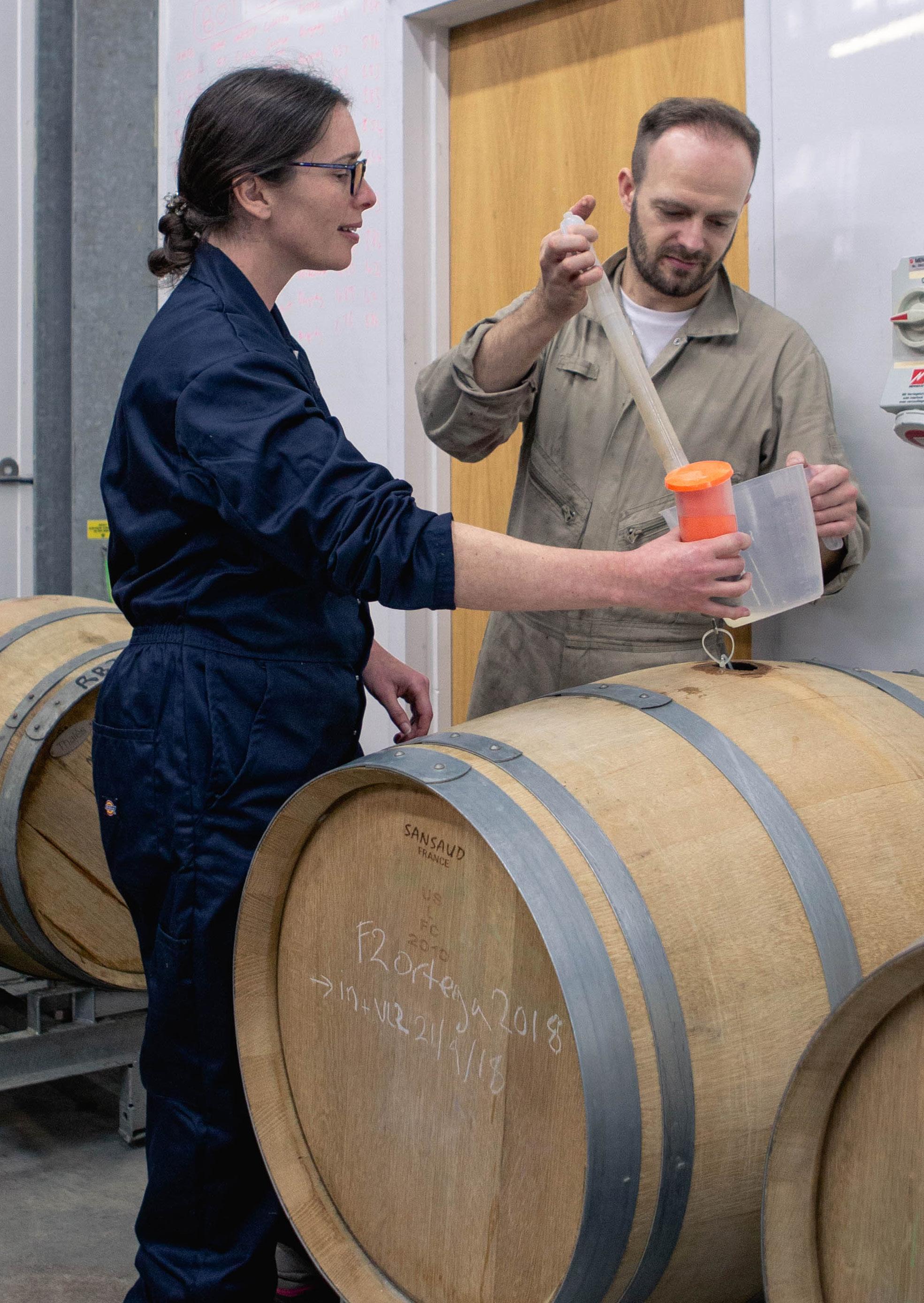 Careers in the Wine Industry by Plumpton College Issuu