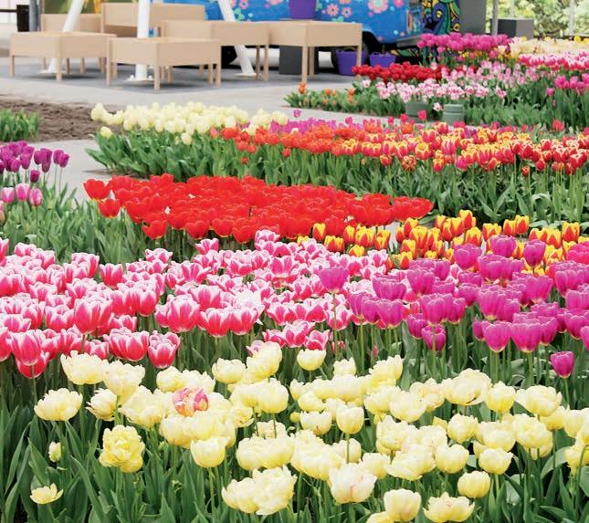 Cover for Seeking Something Special