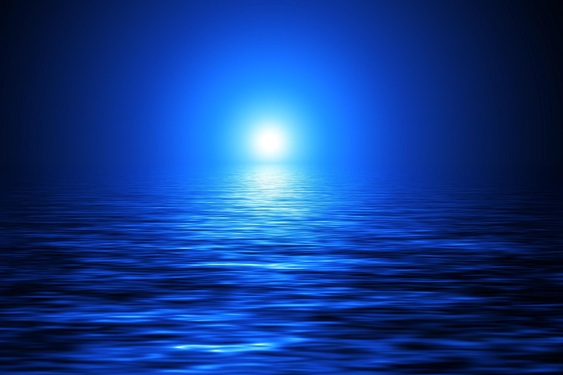 Fishing Connection Online November 2022 by Fishing Connection Digital