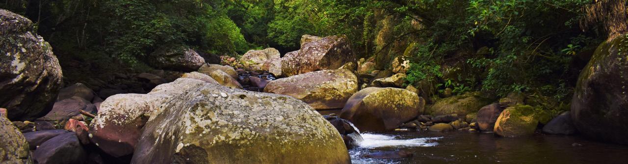 LONG-TERM SUSTAINABILITY FOR PROTECTED AREAS IN BOLIVIA