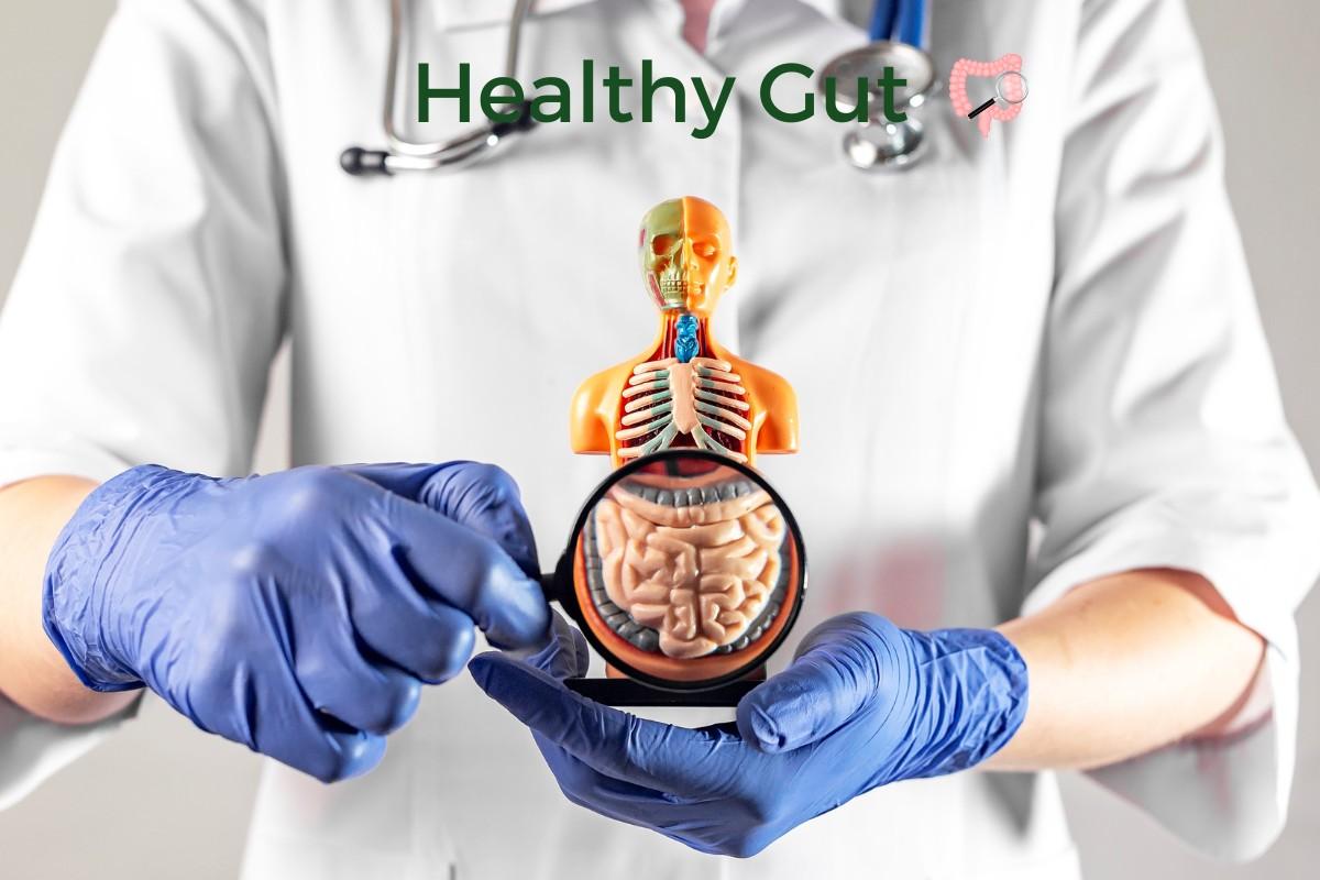 Maintaining a Healthy Gut The Importance of Colon Cleansing in