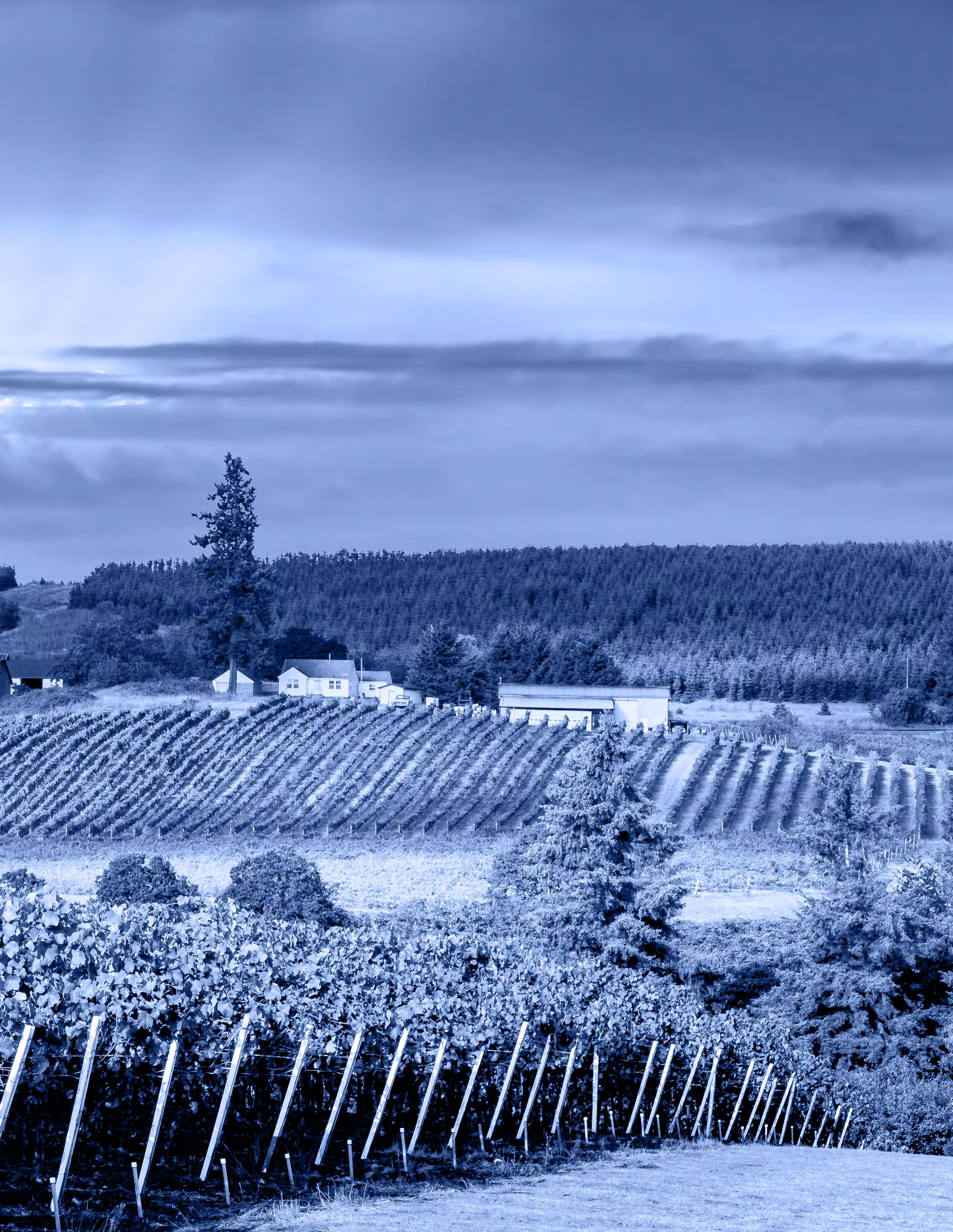 Winebow Upper Left (DE Brochure) by winebow Issuu