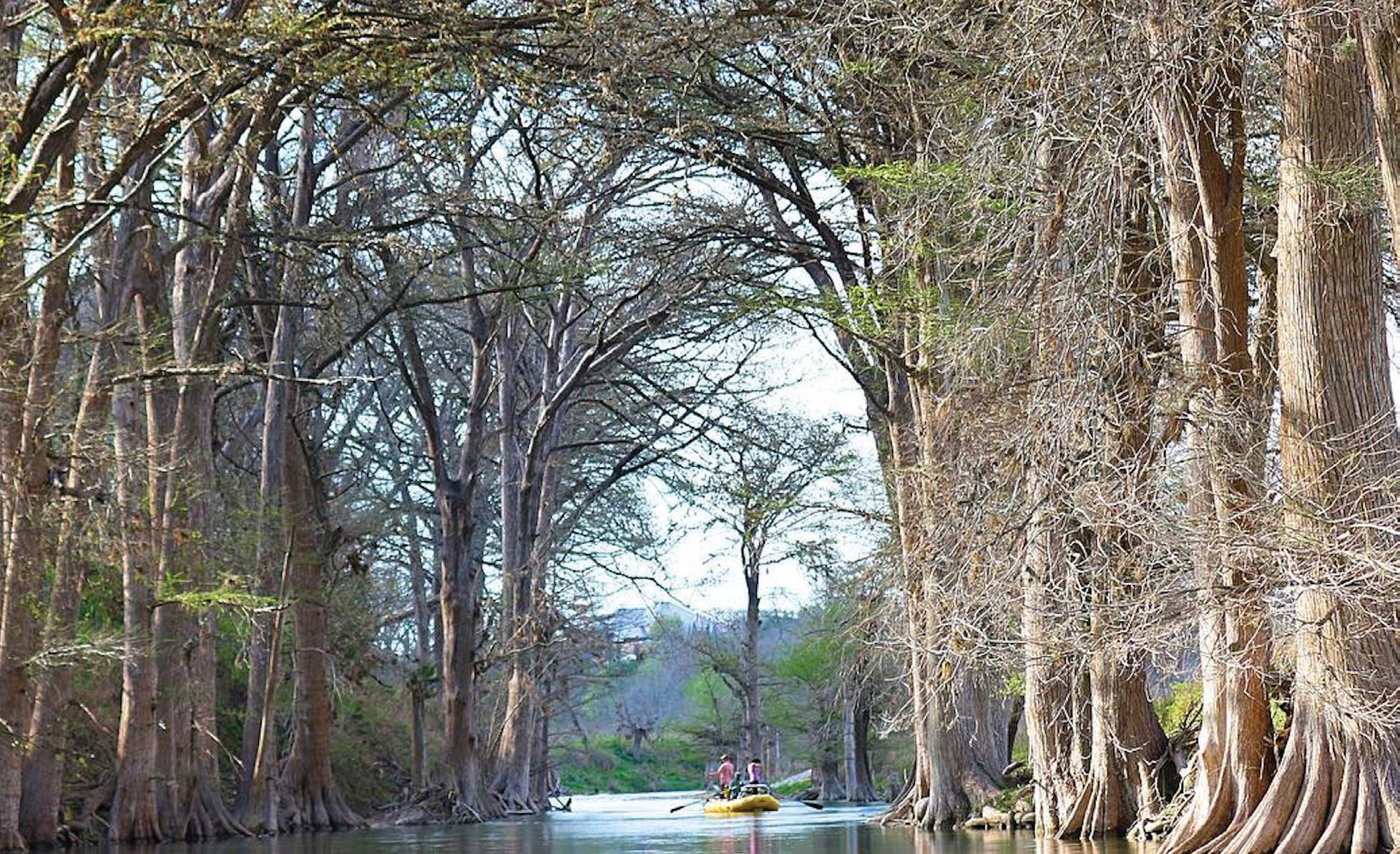 Troutfest TX 2023 Program Booklet by GTRUTFTX Issuu