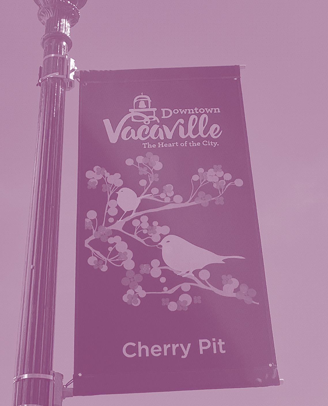 Vernacular Typography Downtown Vacaville by Claudia Escalante - Issuu 
