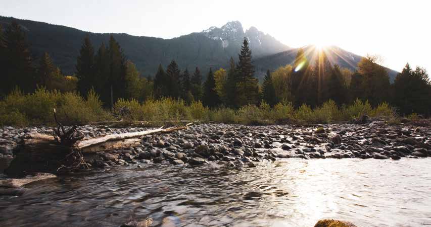 Cover for LAST SHEEP CAMP