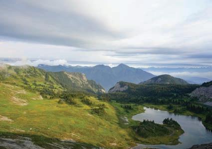 Cover for ancient Forest/Chun t’oh Whudujut Provincial Park