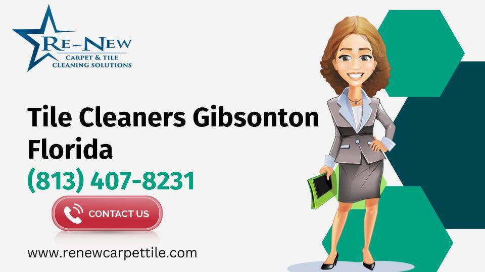 Carpet & Tiles Cleaning Services in Gibsonton County Florida by