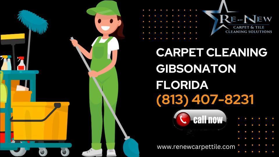Carpet & Tiles Cleaning Services in Gibsonton County Florida by