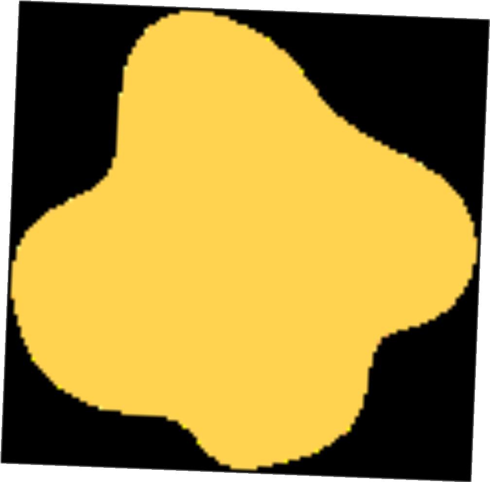 The Ultimate Guide to Traveling with Pets on Air Canada by Air Canada