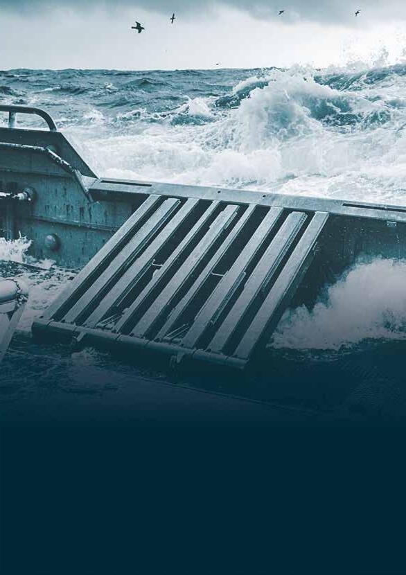 Molluscs Brochure by Seafood Connection B.V. Issuu