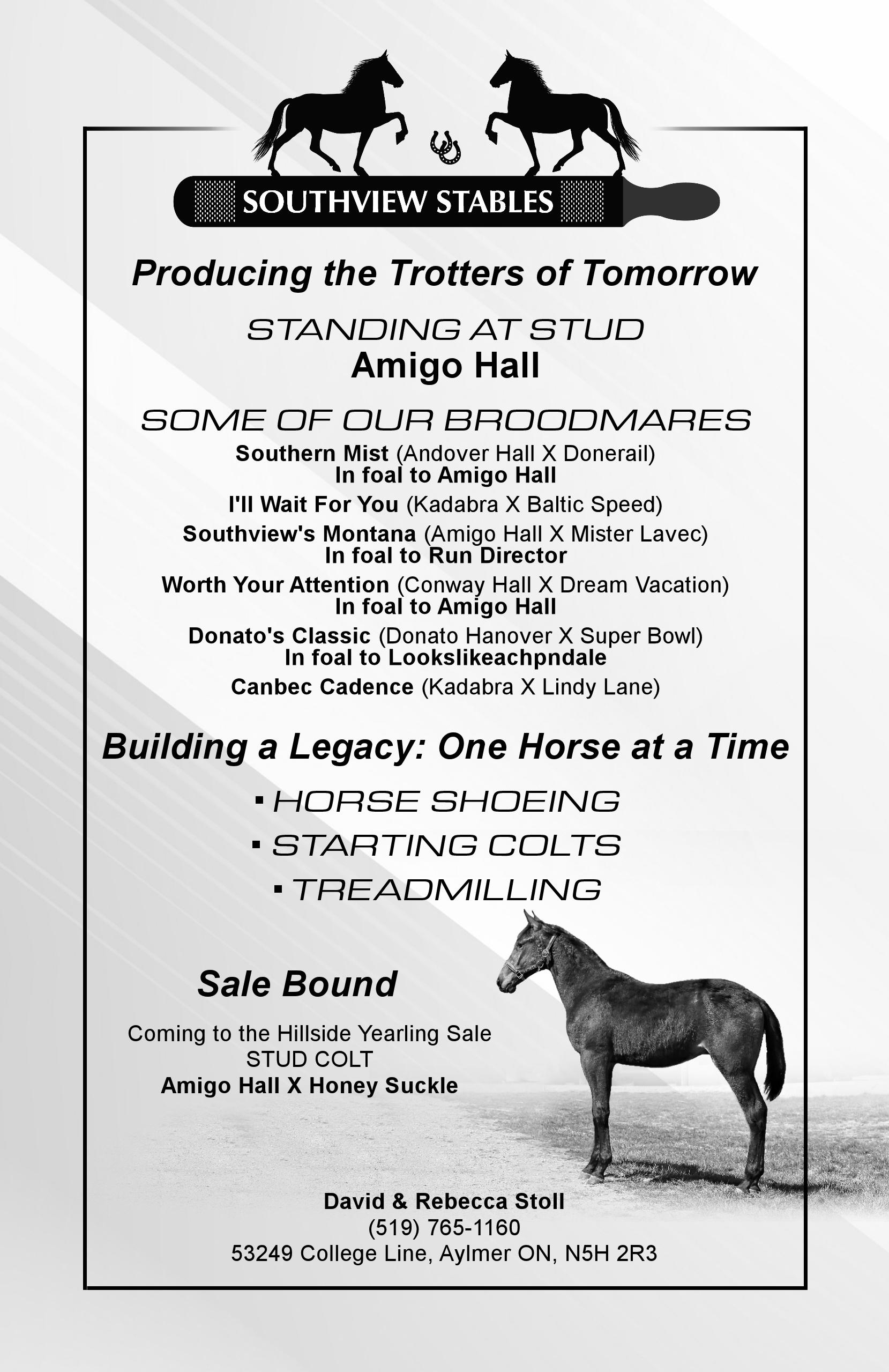 2023 Great Canadian Dutch Harness & Driving Horse Sale by tailoredtsm