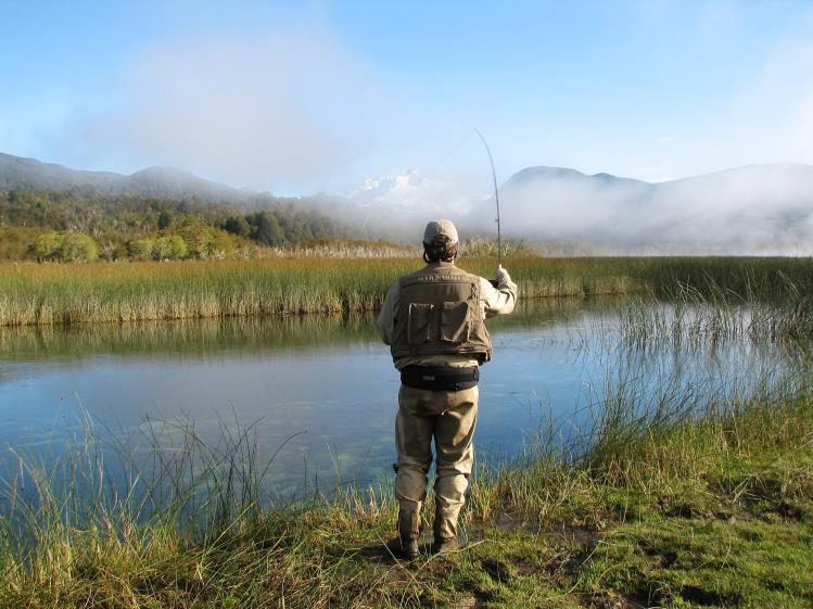 Whipping Streams for Trout” SANTA CRUZ Fly Fishing—Antique