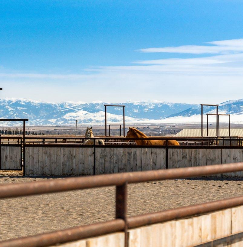 Beaverhead Valley's 2W Ranch | Fay Ranches by Fay Ranches - Issuu