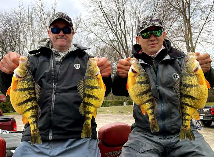 The Best Jumbo Perch Fishing of the Year