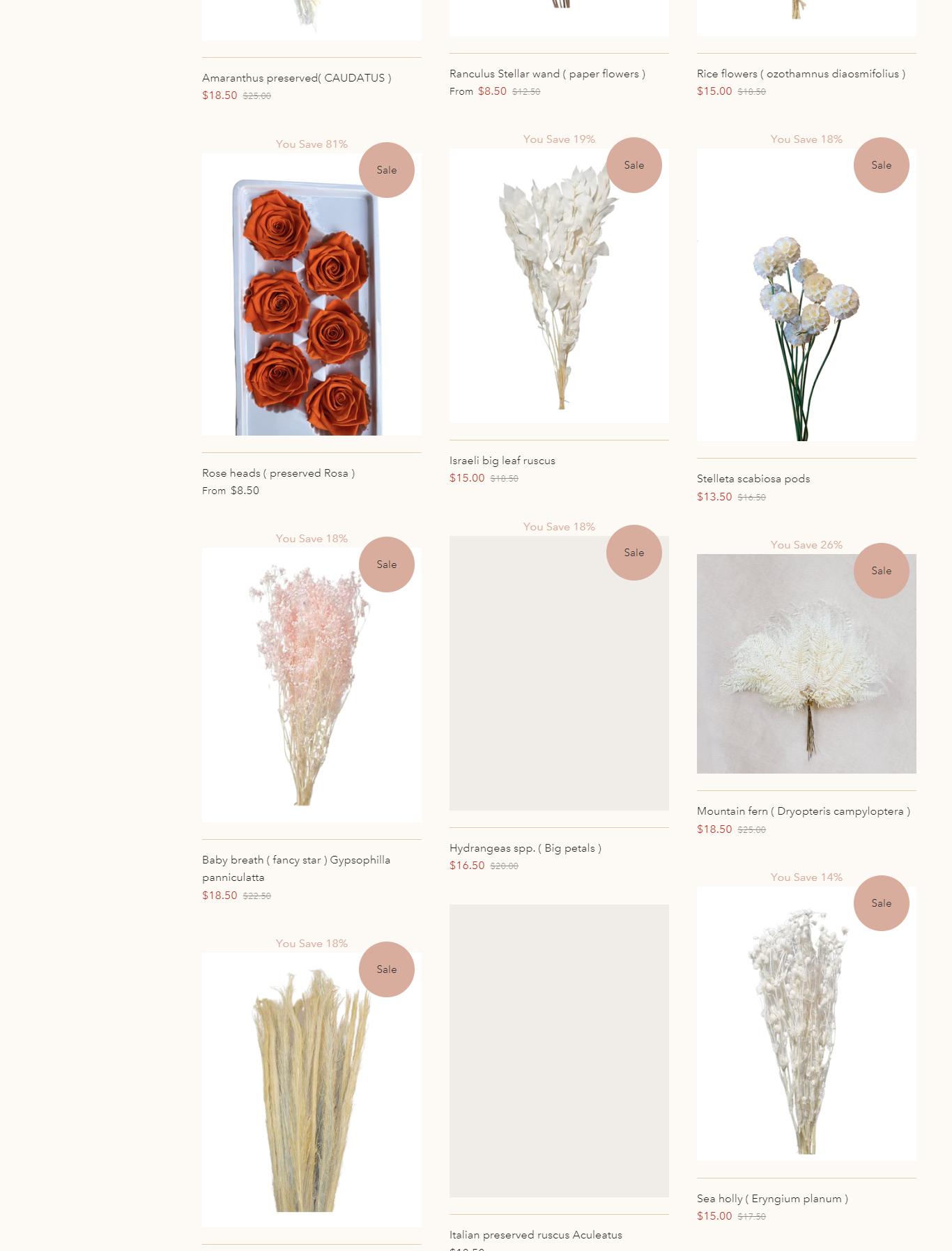 Dry Flower Shop Shop for Quality Dried Flowers Now! by shopflower Issuu