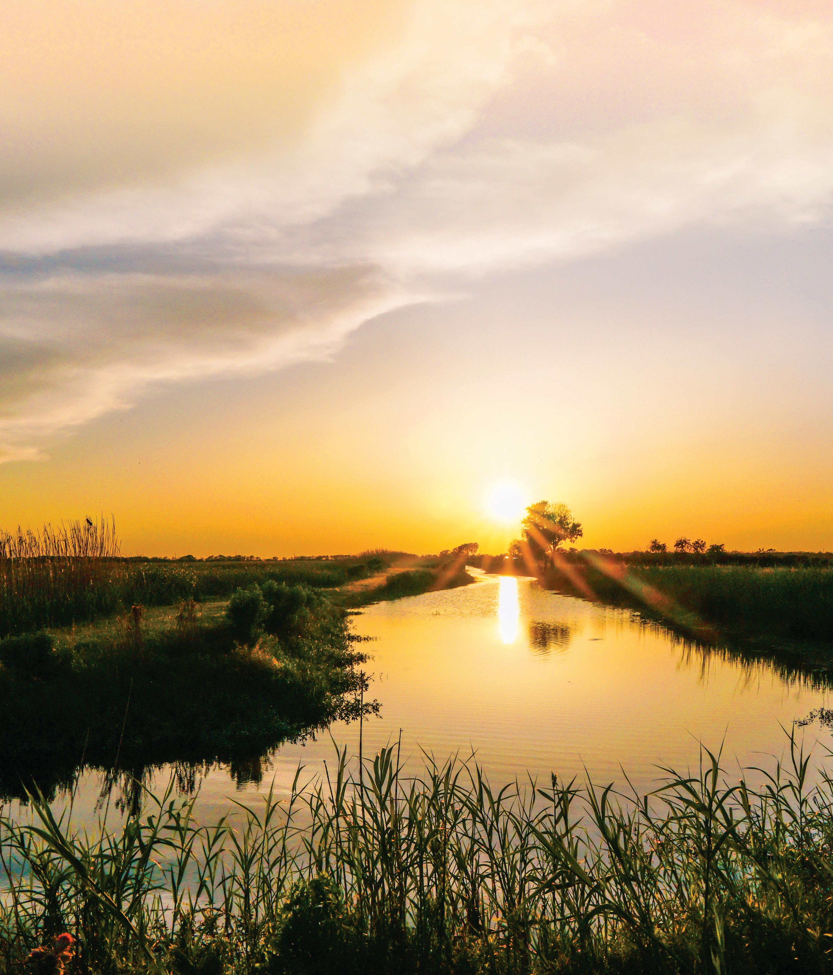 PhotoTek of Lake Charles - My Local Archiver