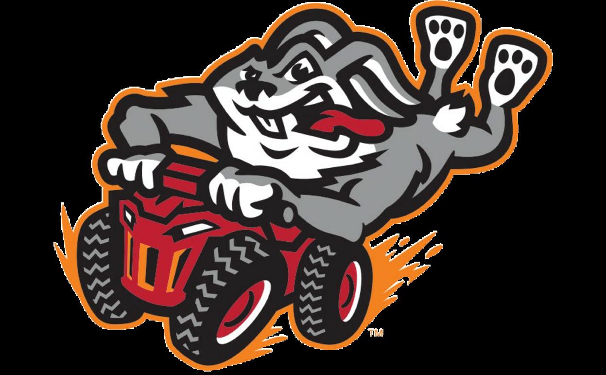 Cover for Bringing the thrill of baseball back to Marion