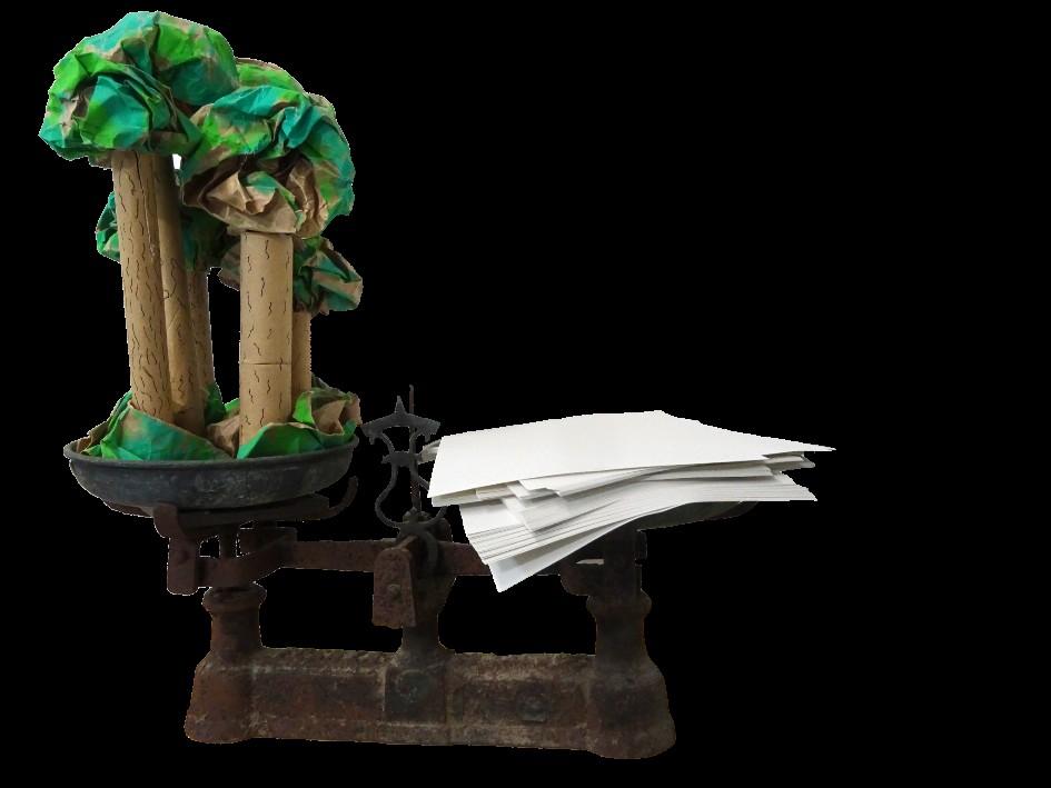 Tu decideixes classe “cova del Petracó- 8