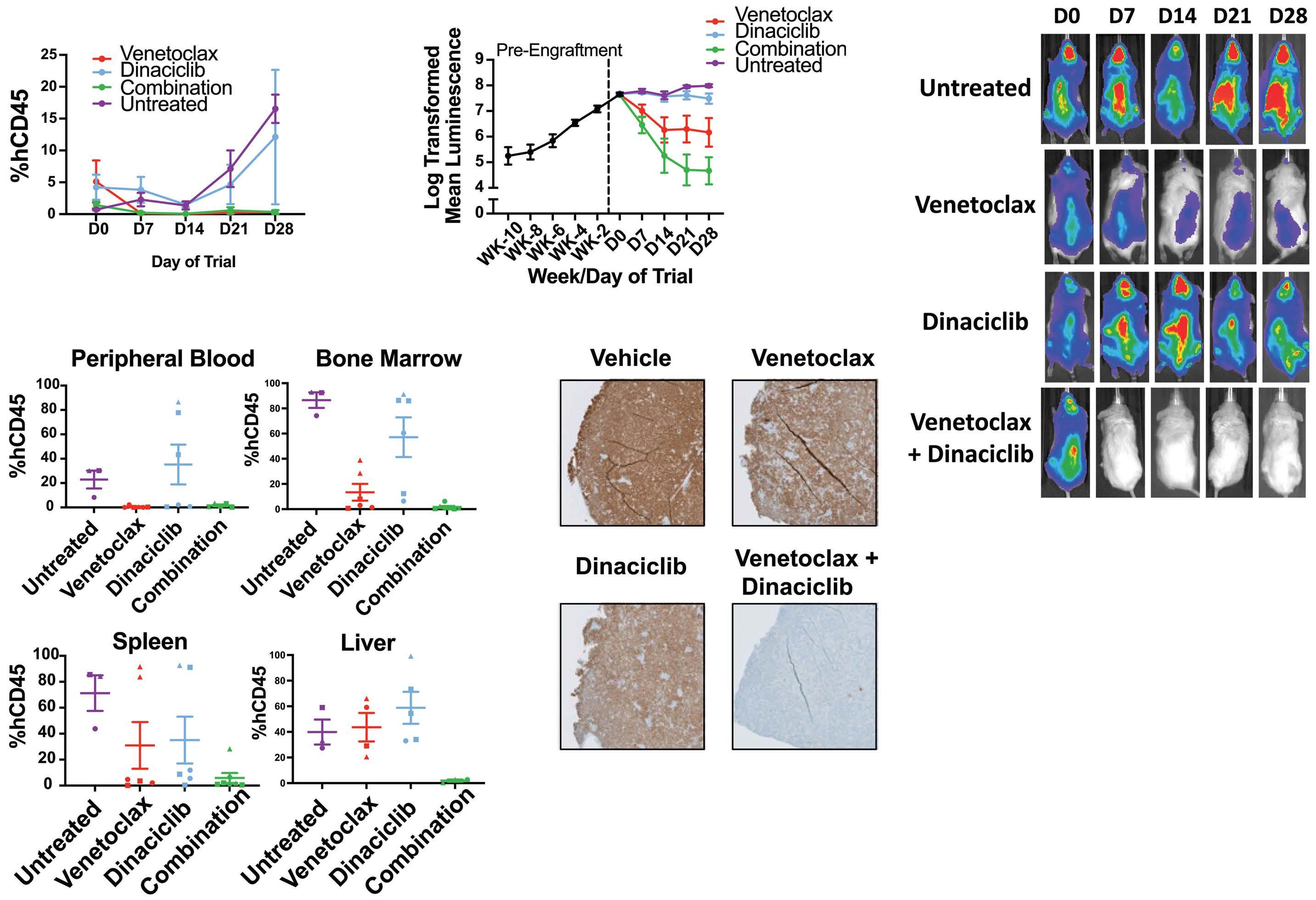 Haematologica Volume 108 Issue 5 by Haematologica Issuu 