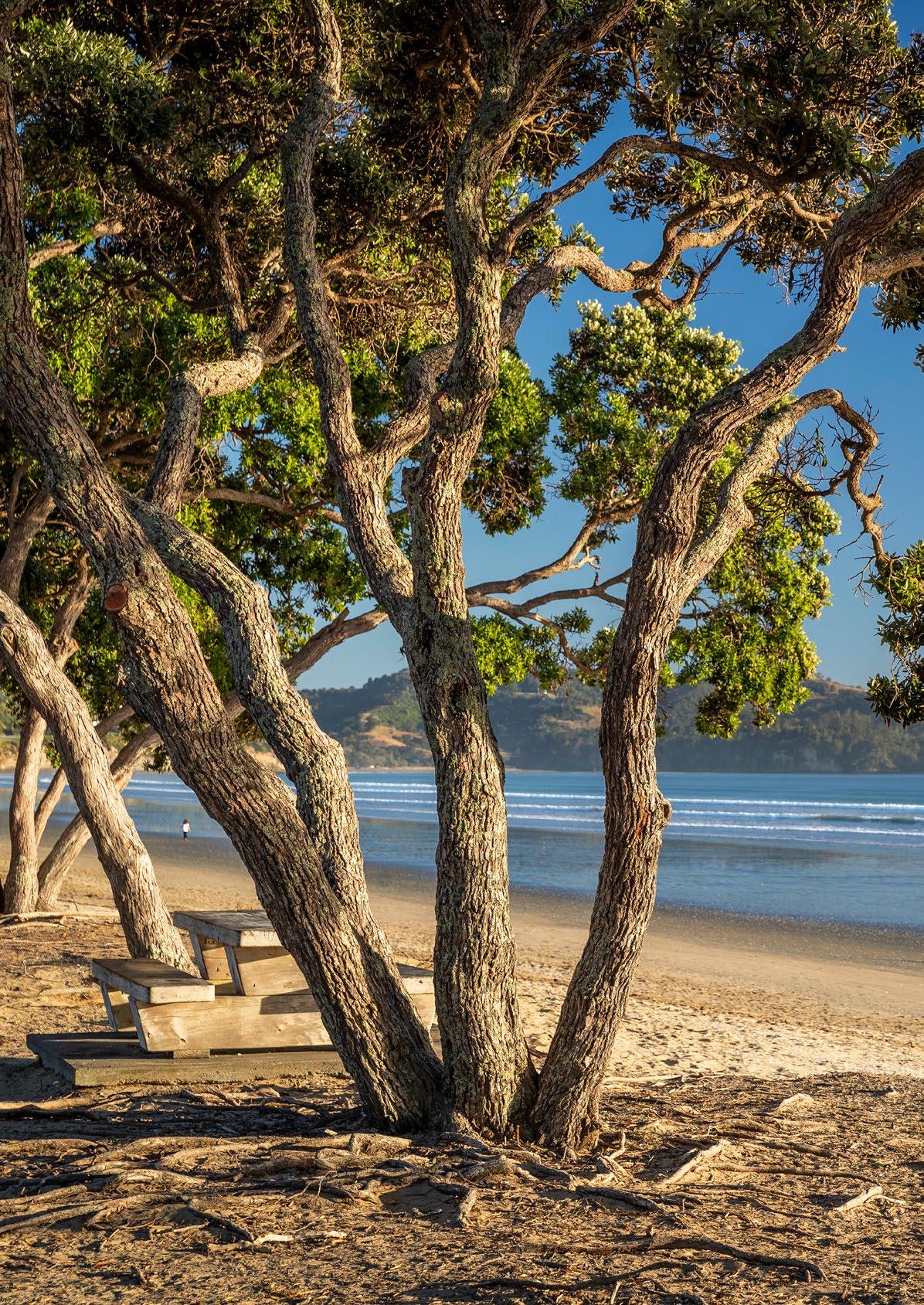 Barfoot & Thompson Orewa by barfootsuburbsales Issuu