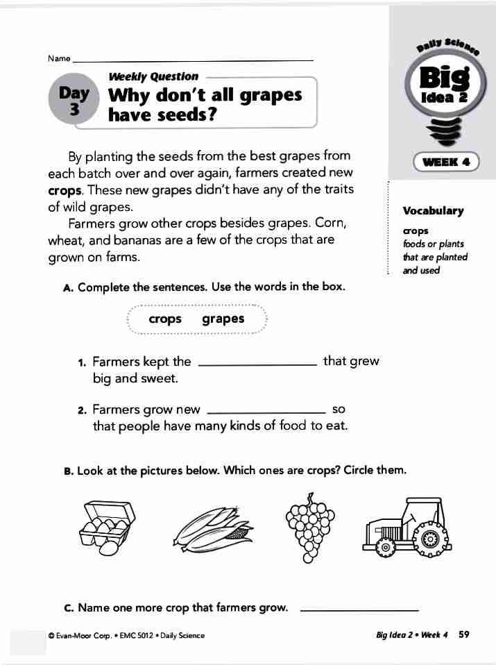 Why can't an apple tree grow oranges & Why don't all grapes have seeds