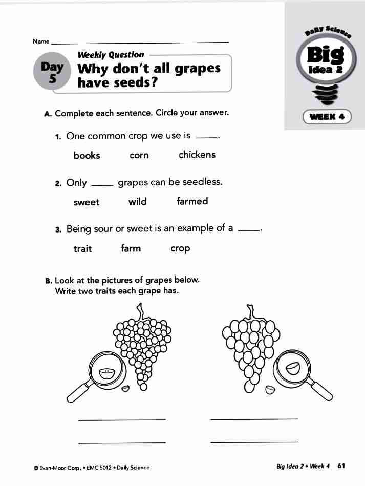 Why can't an apple tree grow oranges & Why don't all grapes have seeds