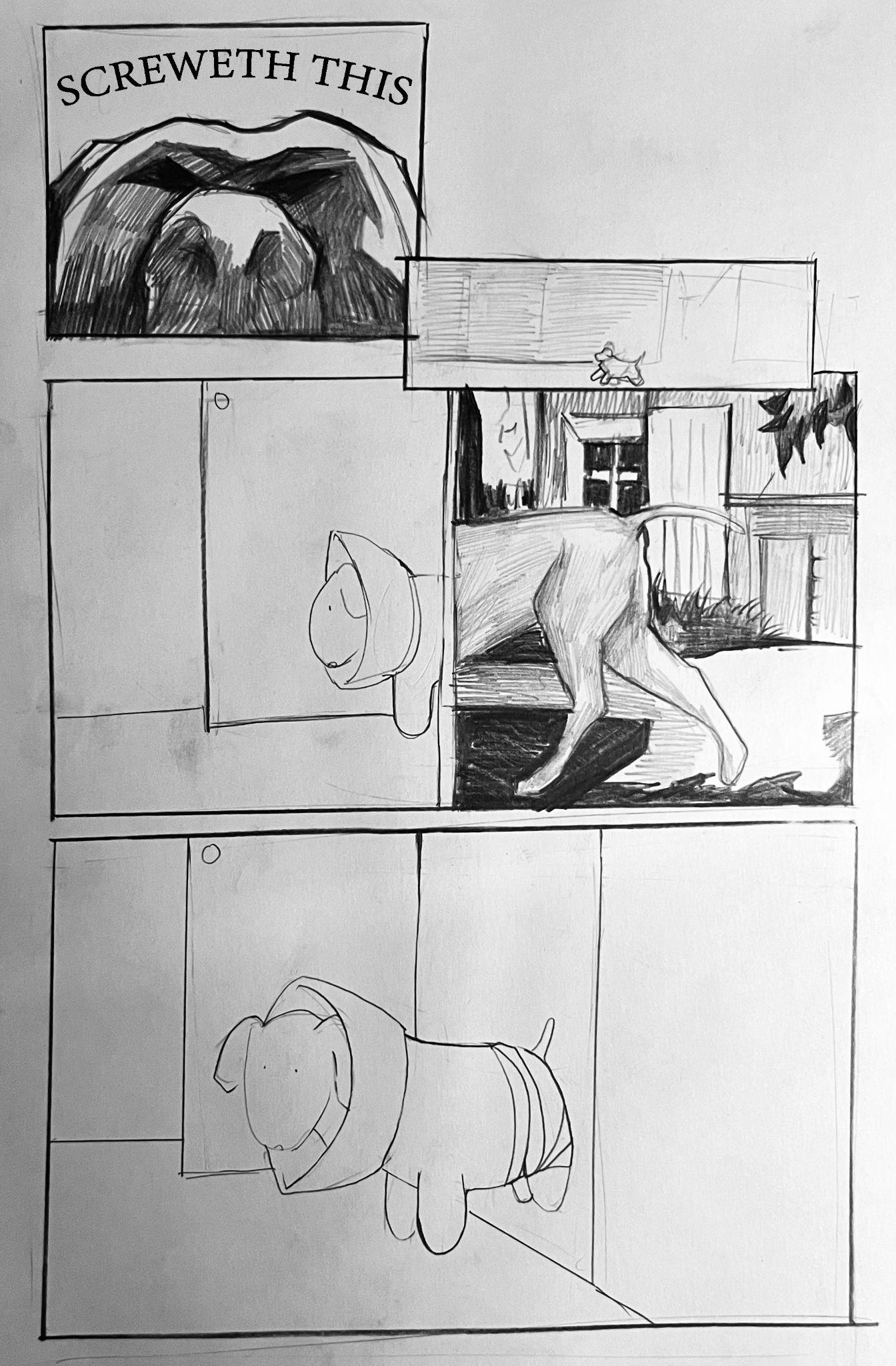 Dog Balls By Isabel Wong Issuu dog-balls-by-isabel-wong-issuu