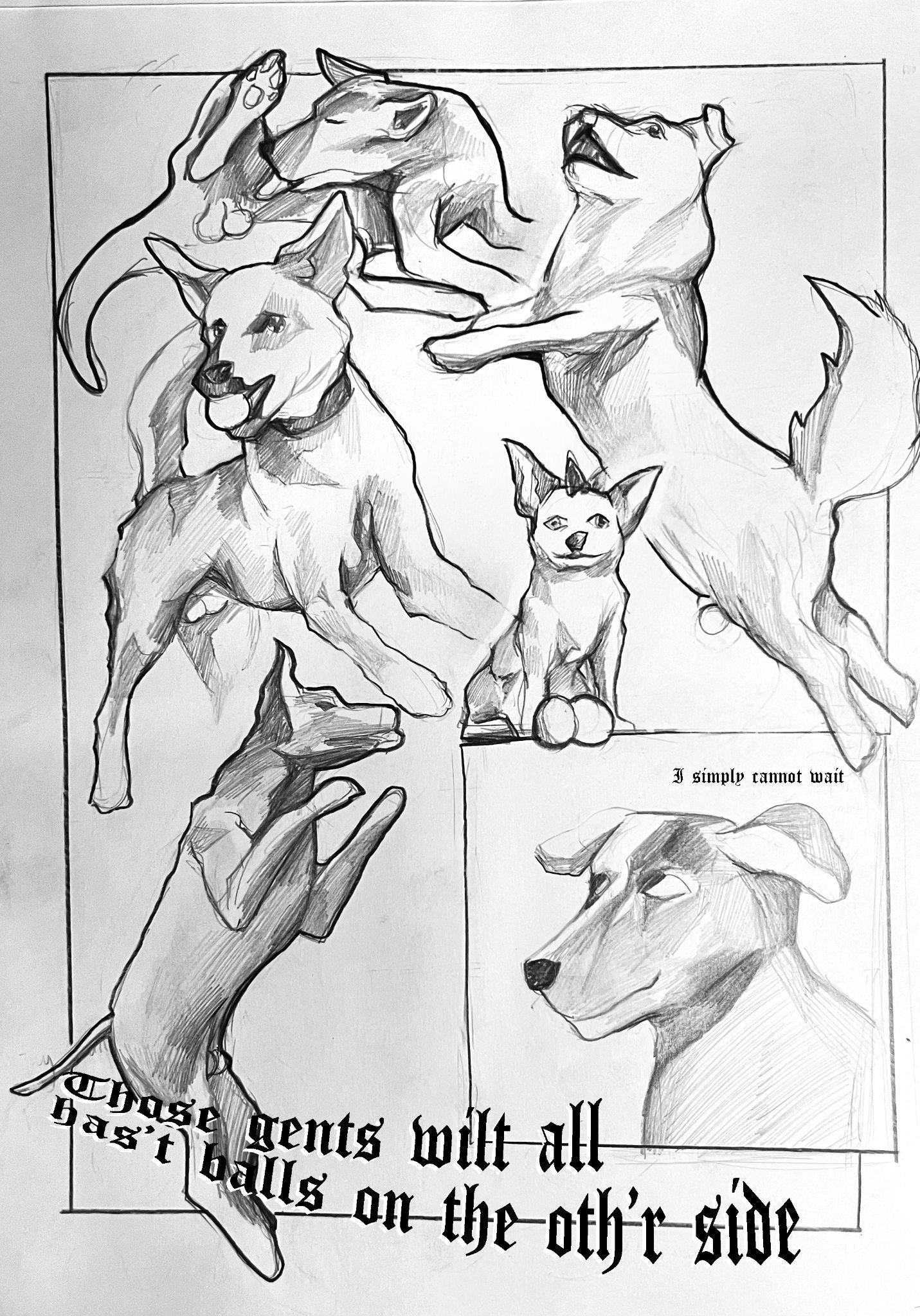 Dog Balls By Isabel Wong Issuu dog-balls-by-isabel-wong-issuu