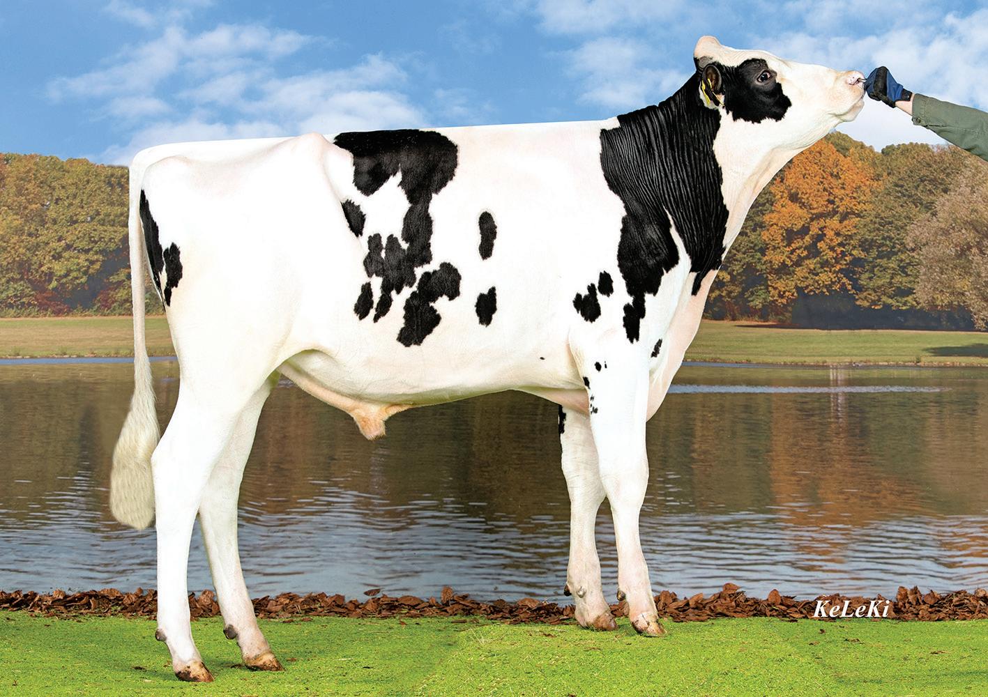 Semex - April 2023 Australia Catalogue by Semex - Issuu