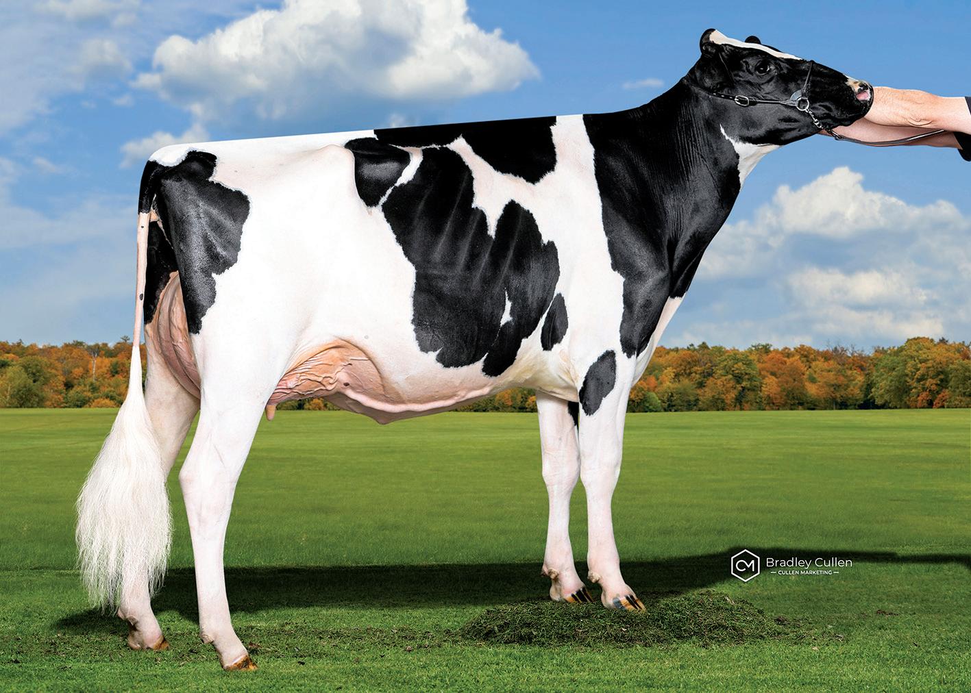 Semex - April 2023 Australia Catalogue by Semex - Issuu