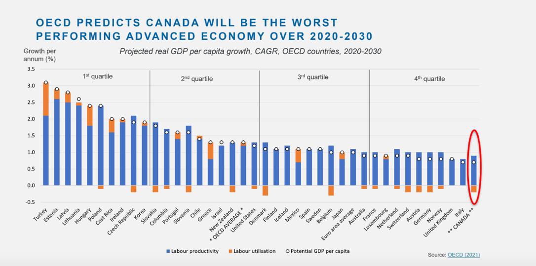 Cover for Executive Summary