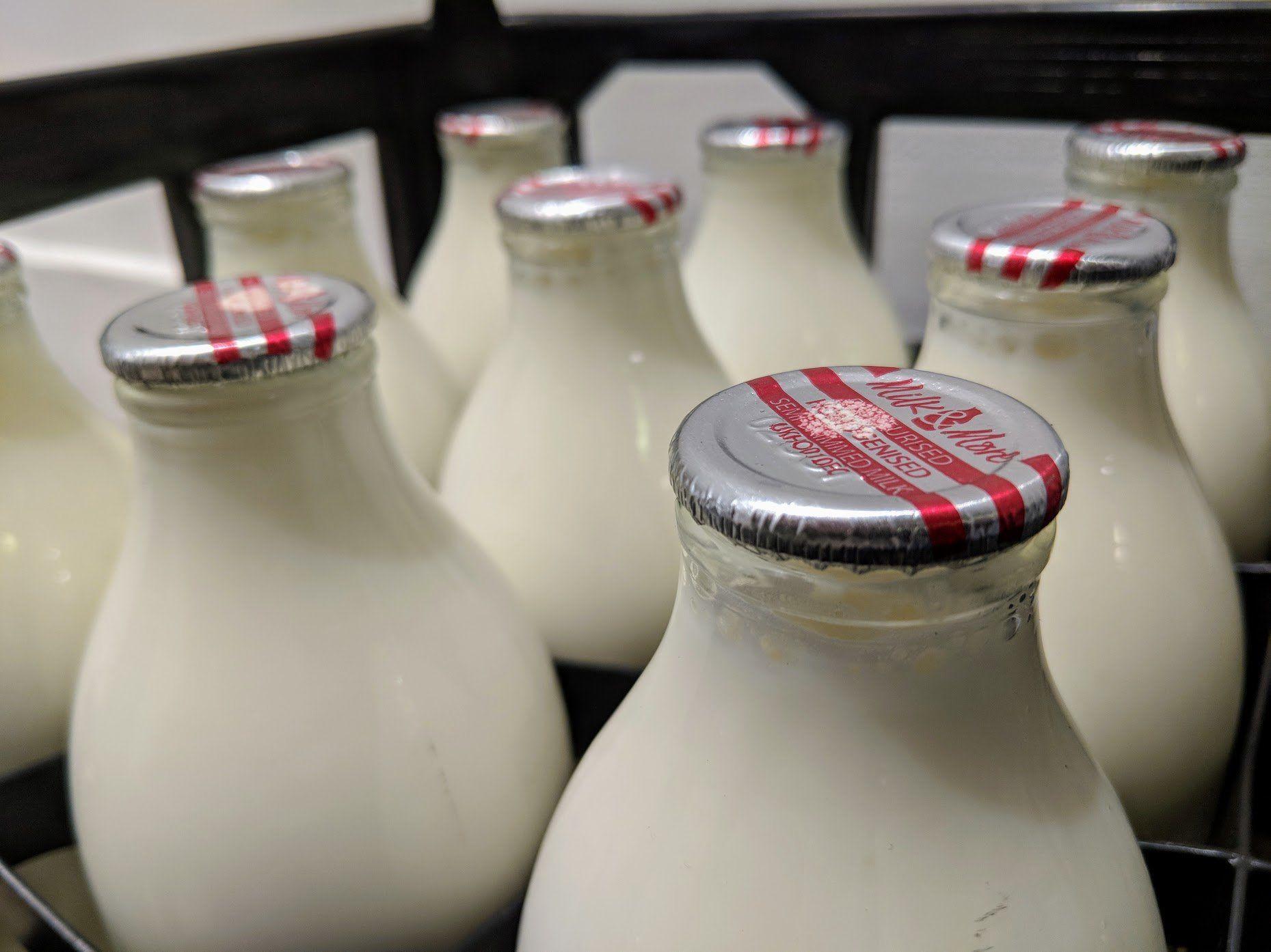 Daily Milk Delivery Chennai by A2milkchennai Issuu