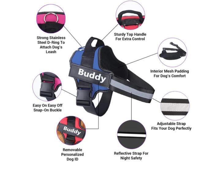 Buddy Harness by Buddyharnessweb Issuu