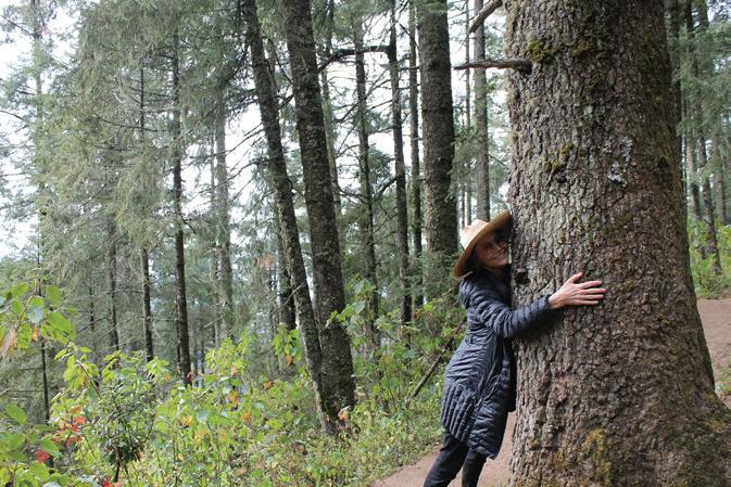 Dead Tree Standing: Saltwater Threatens Coastal Forests and Ecosystem Services - Circle of Blue